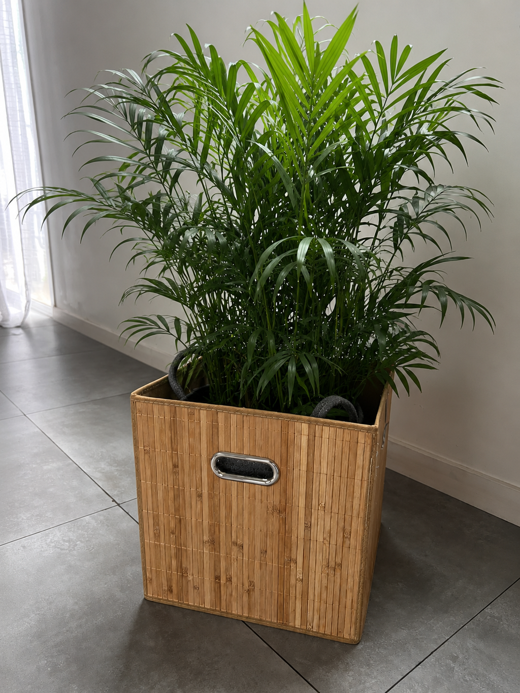 Caja organizadora Bambu Nepal XL