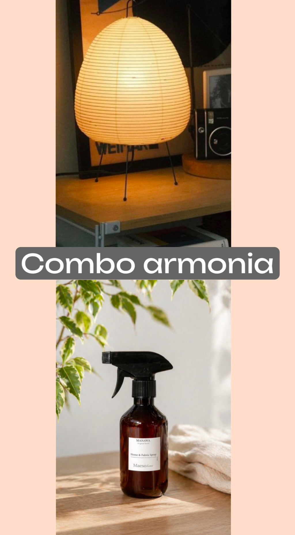 COMBO 4 ARMONIA