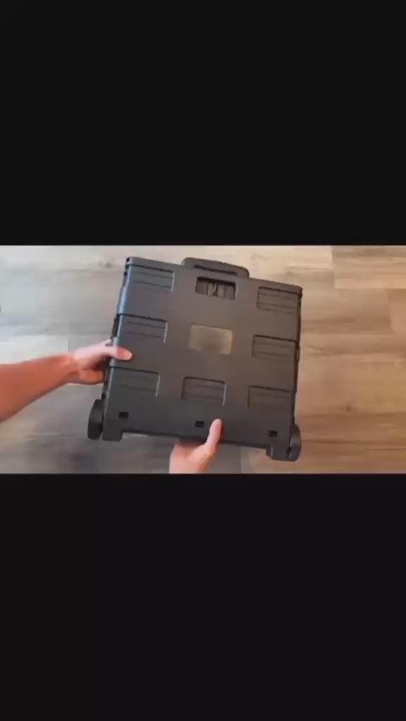 CARRO IKKA
