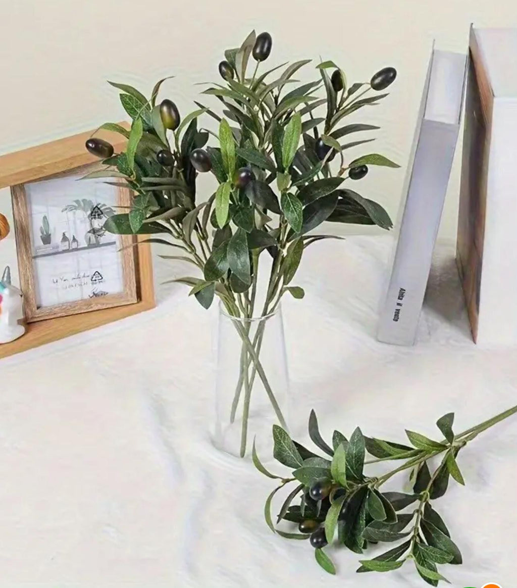 Rama de Olivo 45cm