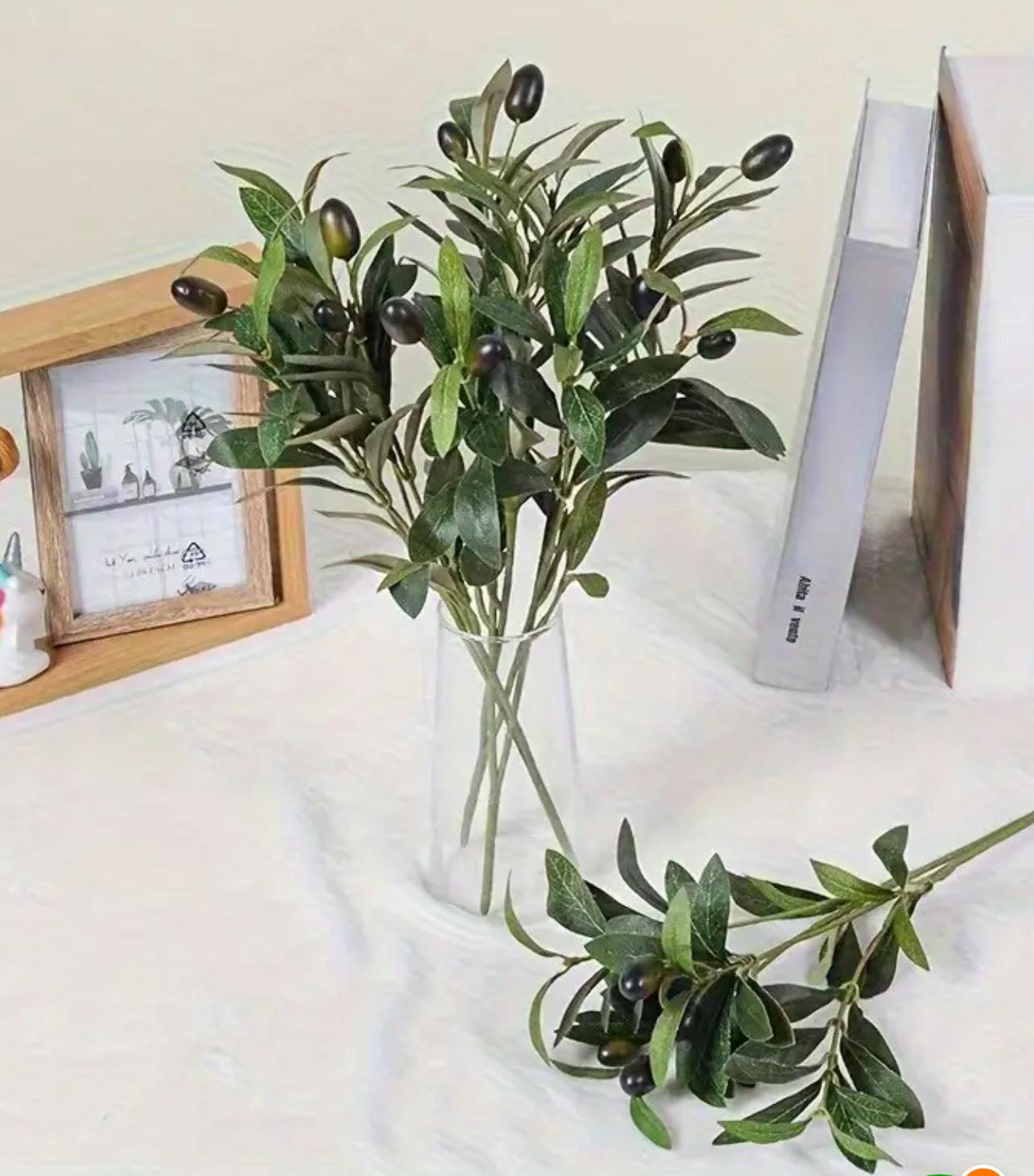 Rama de Olivo 45cm